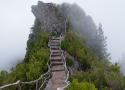 -金鹰断箭！深圳队跨洋粉碎76人，英格拉姆末节觉醒化身关键先生