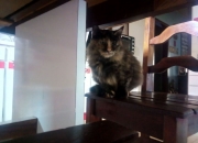 英雄联盟总决赛赛程-2026世界杯之夜，当德布劳内用数据完成一场数字炼金术