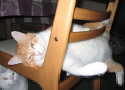 英雄联盟总决赛2025-钢铁风暴眼，班凯罗如何用一守一攻终结勇士森林狼巅峰对决