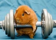 英雄联盟总决赛赛程-横扫的宿命与变奏，小贾伦如何化身马刺终结者？