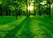 LOL决赛-被遗忘的完美，坎特在NBA总决赛之夜