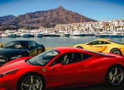 英雄联盟总决赛2025-利齿撕裂戈壁，森林狼血战擒飞虎，英格拉姆化身决胜锋刃