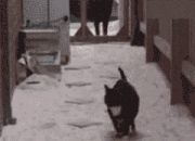 LOL决赛-时空交错的实验场，小贾伦的独角戏