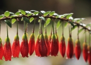 英雄联盟总决赛赛程-银箭无声，巴尔韦德的战术迷宫与冠军加冕