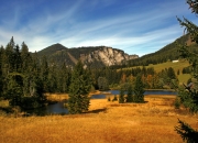 英雄联盟总决赛直播-可选择的文章标题