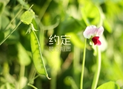 LOL决赛-基因差异，当快船用团队压制骑士，浓眉正用一己之力定义西决生死战