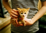 -虚实交锋，当福克斯掌控比赛脉搏，深圳铁骑如何改写篮球次元？