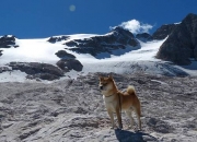 英雄联盟总决赛2025-跨越界限，米切尔的71分神迹与魔术队的青涩通关