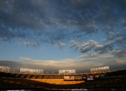 -悬念终结者，从郁金香的绽放，到蓝军的引擎