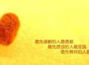 -地理横跨，足球无界，当尼斯翻盘安哥拉，德布劳内在年度焦点之战中接管比赛