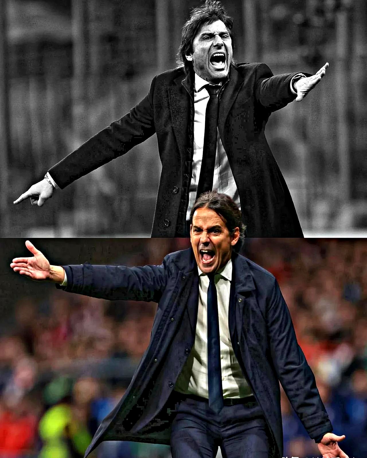 那不勒斯中场组织有序,取得关键胜利的简单介绍 那不勒斯中场组织有序,取得关键胜利的简单介绍