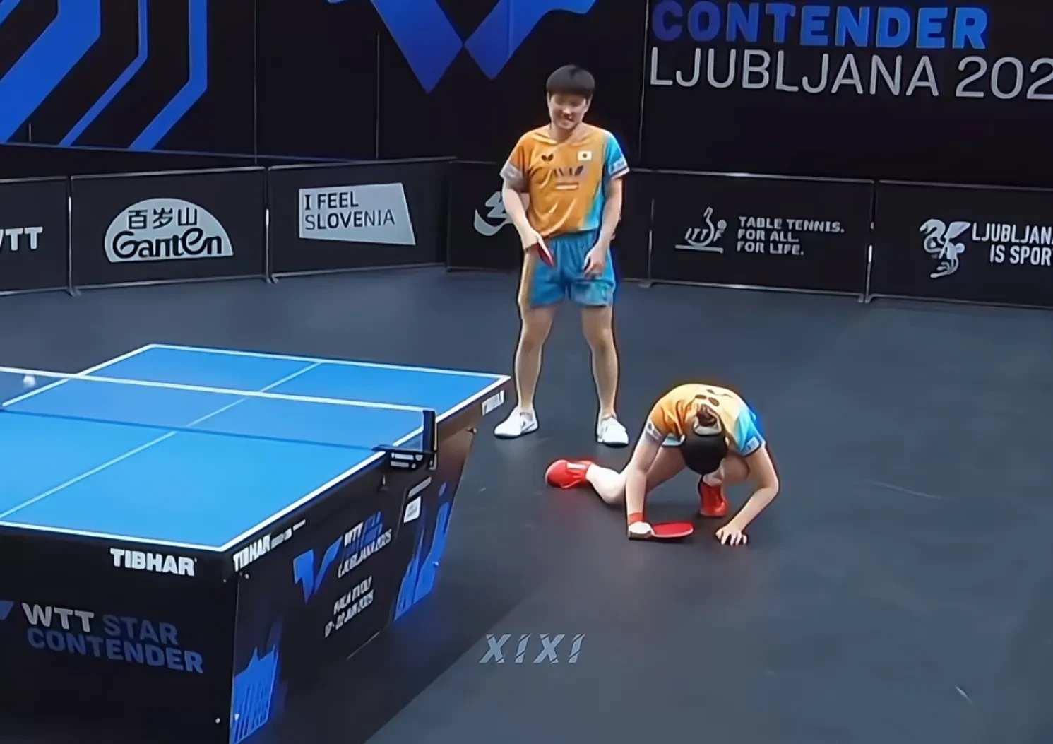 包含波兰队完胜韩国队，张本智和状态火热的词条