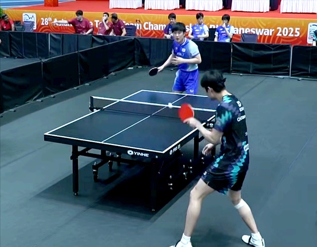 包含波兰队完胜韩国队，张本智和状态火热的词条