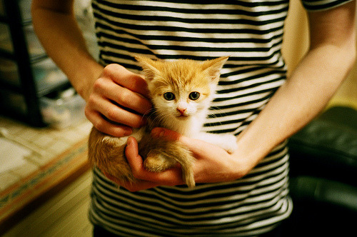 风暴与蓝调，当比利时式压制遭遇三笘薰的闪光时刻