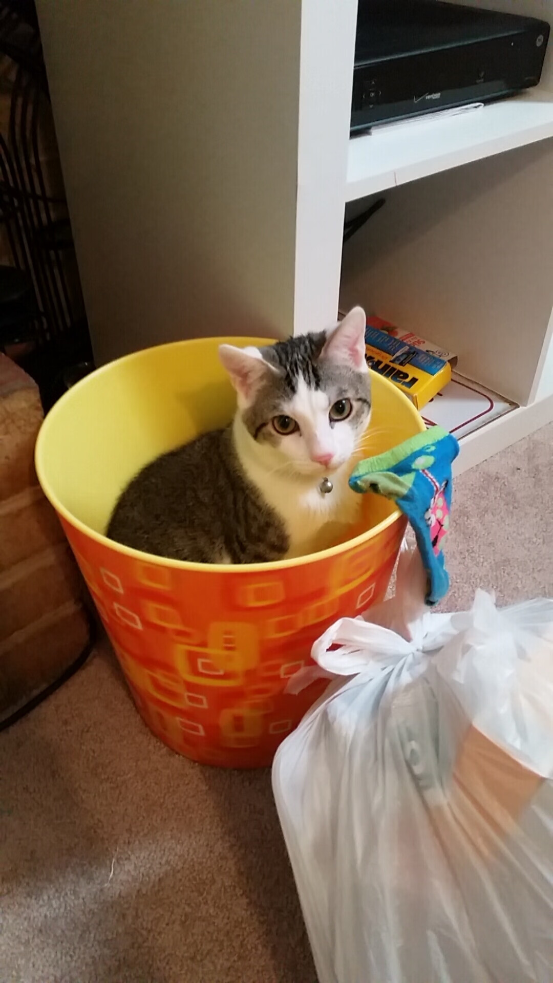 东部西决，绿军生死战拆穿骑士，昂首挺进总决赛