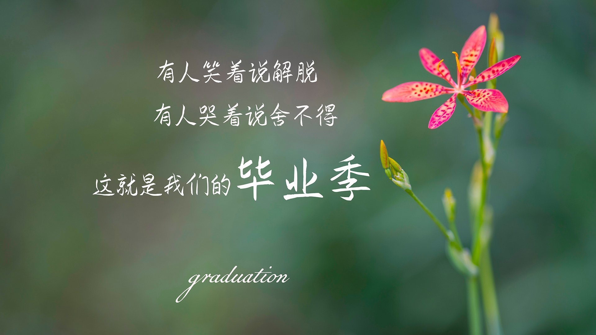 钢门觉醒！门迪天神下凡，加纳连续得分力压几内亚