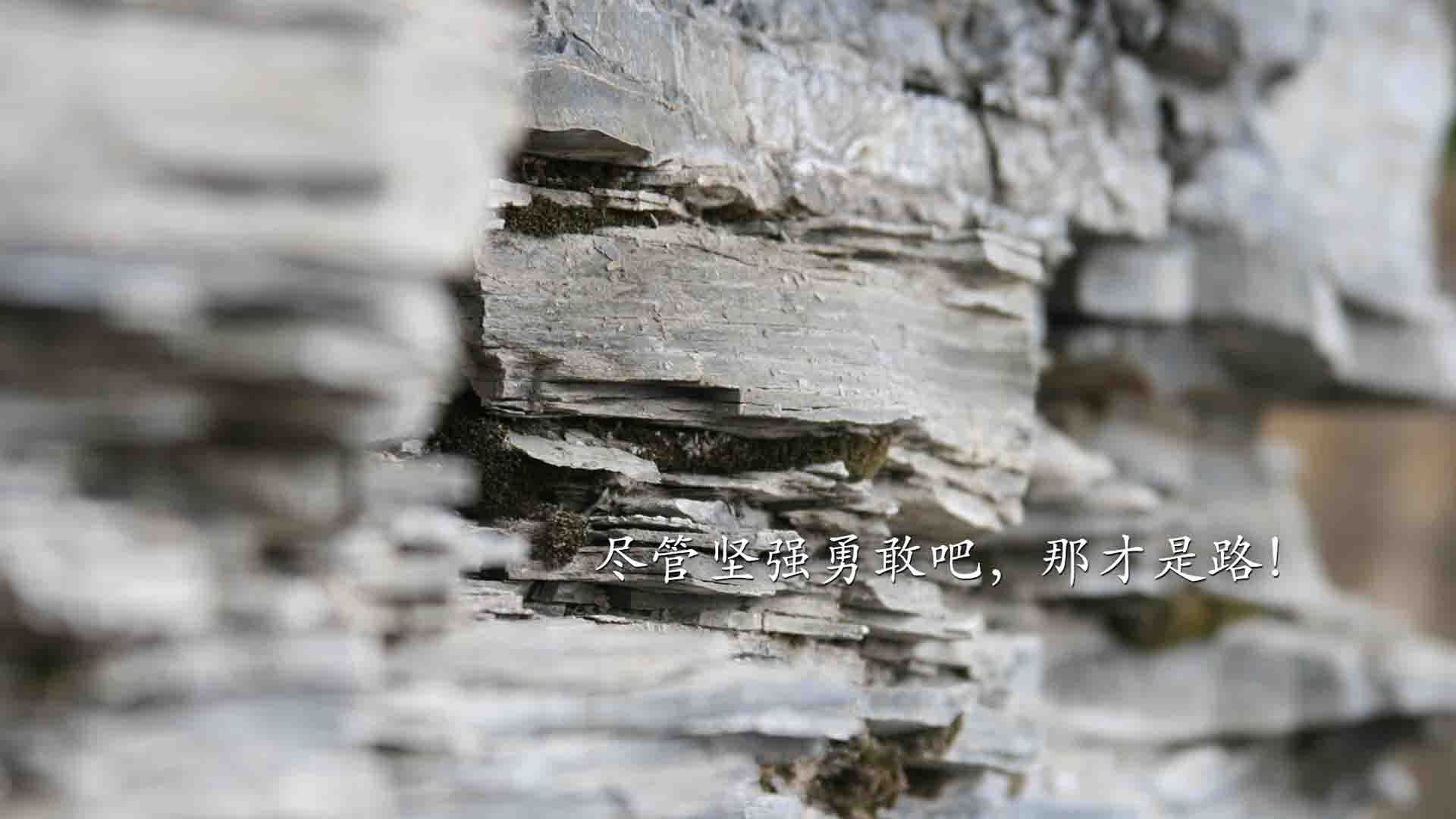 当界限消失，两种世界第一运动的疯狂交替