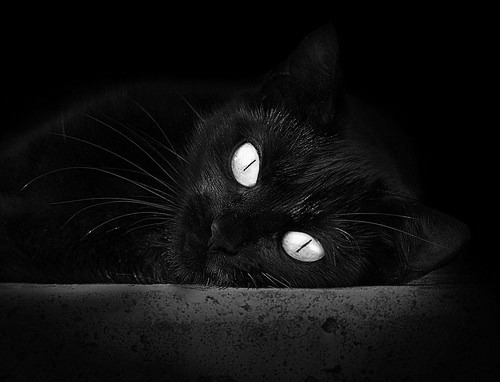 冰岛精神制霸巴萨哲学,阿圭罗在世界排名争夺战接管比赛