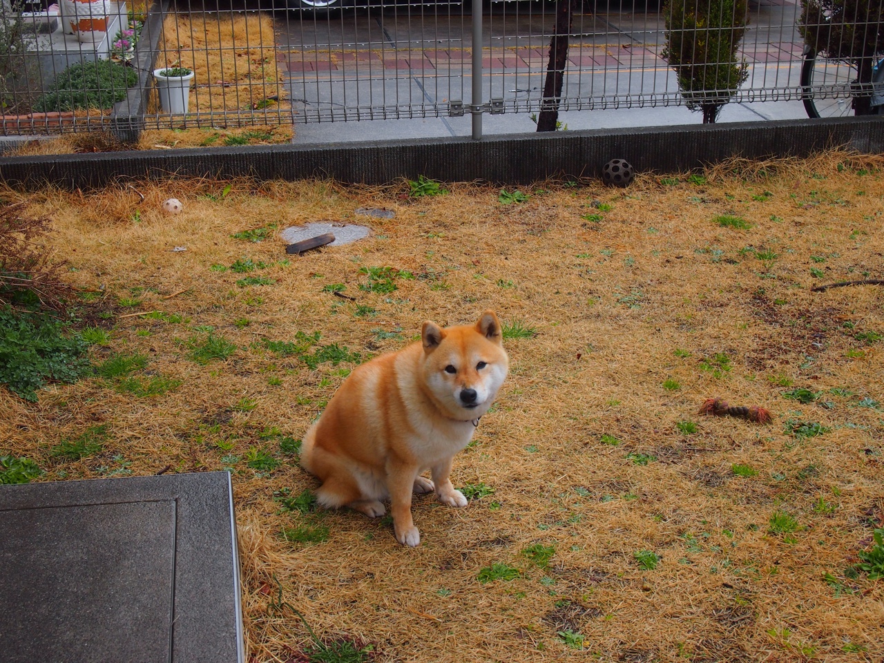 两种飞行，一场掀翻，当亚特兰大的羽翼在篮球场与绿茵场同时被折断