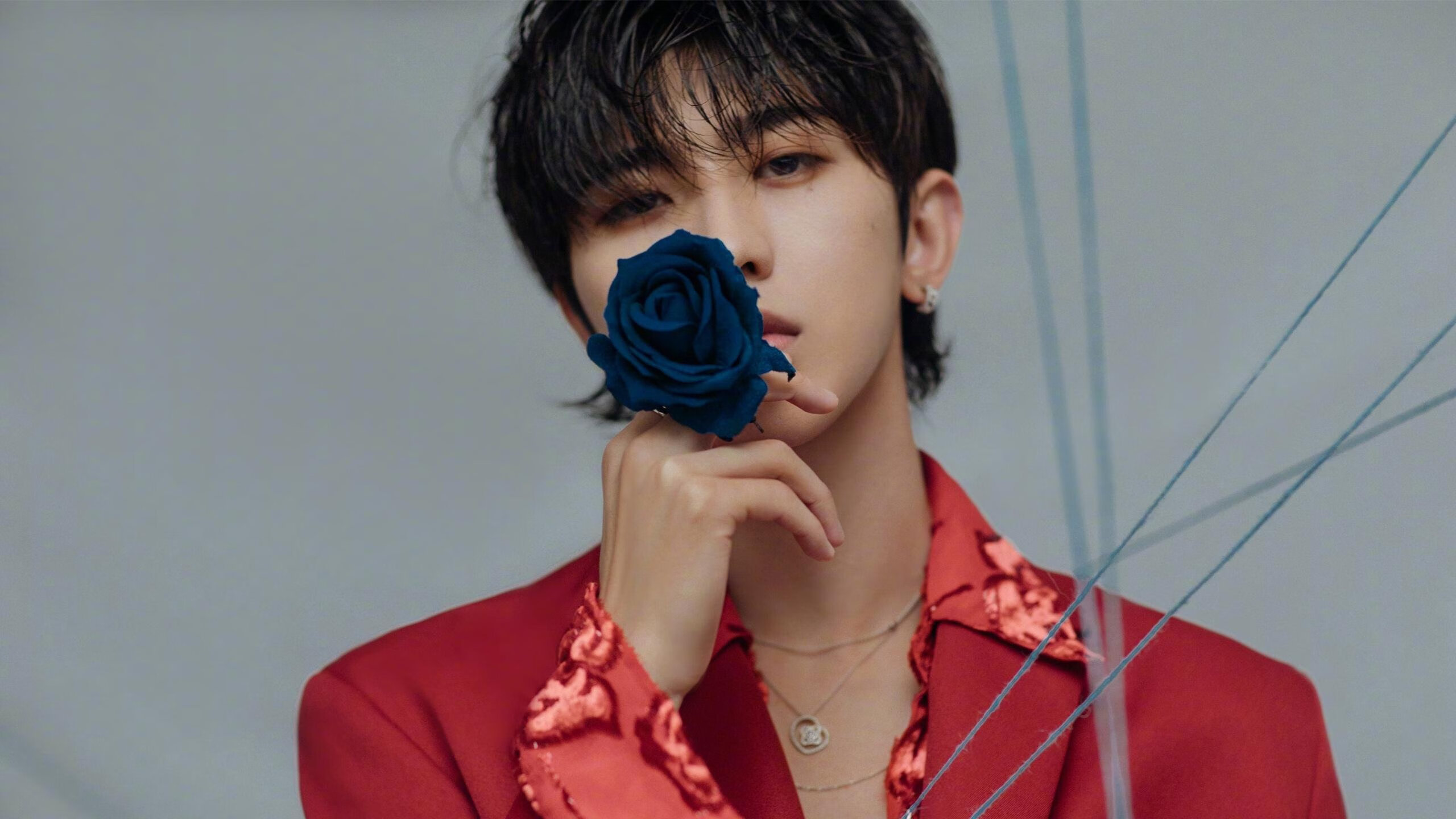 血战加时！武切维奇一锤定音，猛龙险胜魔术