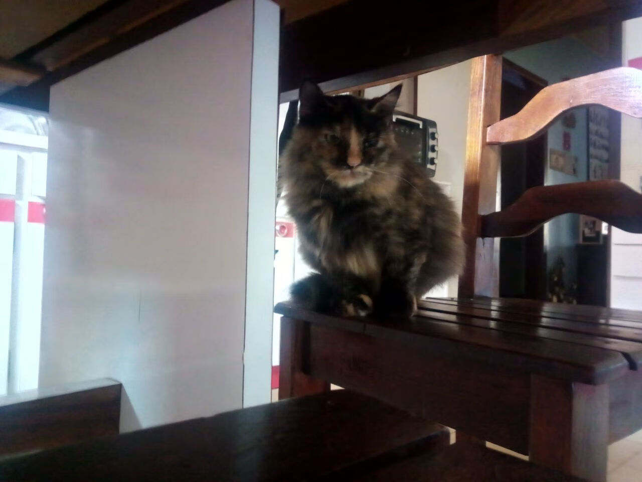 2026世界杯之夜，当德布劳内用数据完成一场数字炼金术