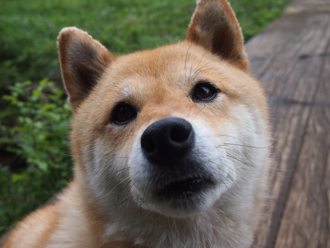 奥利维耶神级接管，墨西哥逆转安哥拉赢下奥运生死战