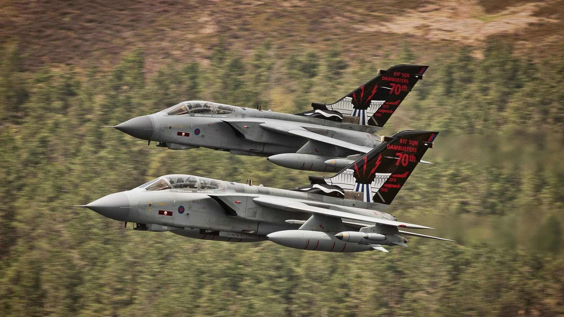 篮球新王的唯一性加冕，美加墨之夜，文班亚马定义无争议