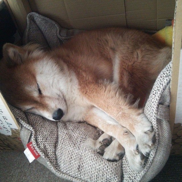 锁定新曙光，布克爆发之夜，篮网最后一秒逆转骑士