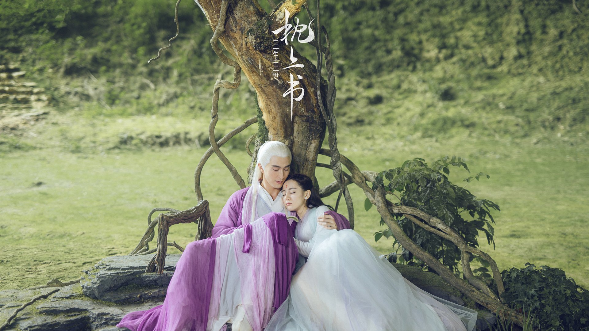 看到你给的这两个关键词，我的脑海中瞬间展开了一幅极富戏剧张力的绿茵画卷。一个是冉冉升起的金童，用才华点亮全场；一个是老辣坚韧的雄狮，用意志扼住命运