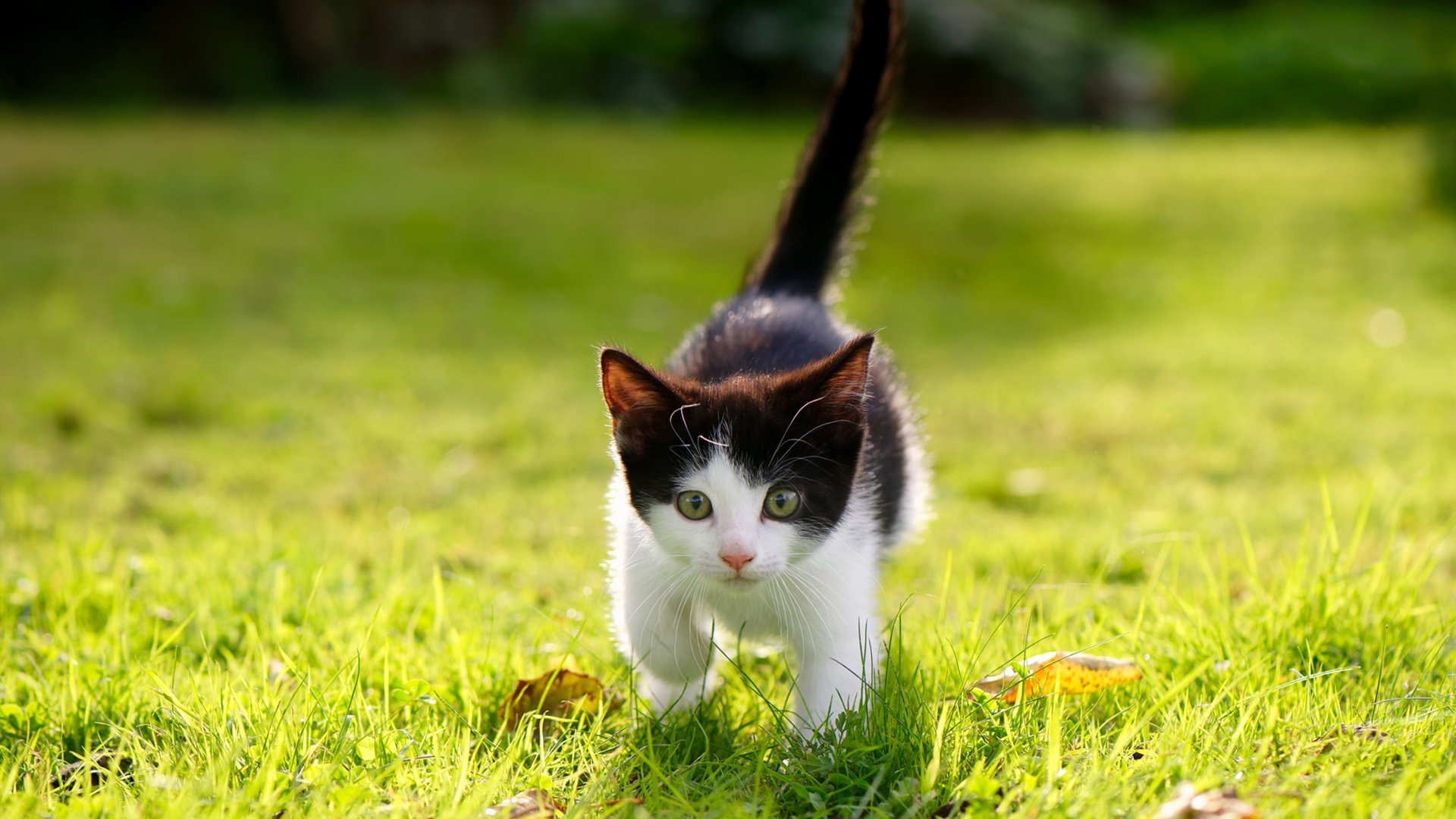 当汽车城遇见紫禁城，一记突破提前终结的悬念与开启的未来