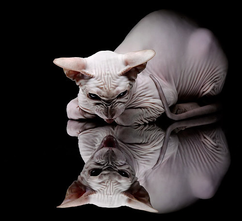 埃及奇迹，正面击溃巴萨，莫德里奇关键先生闪耀