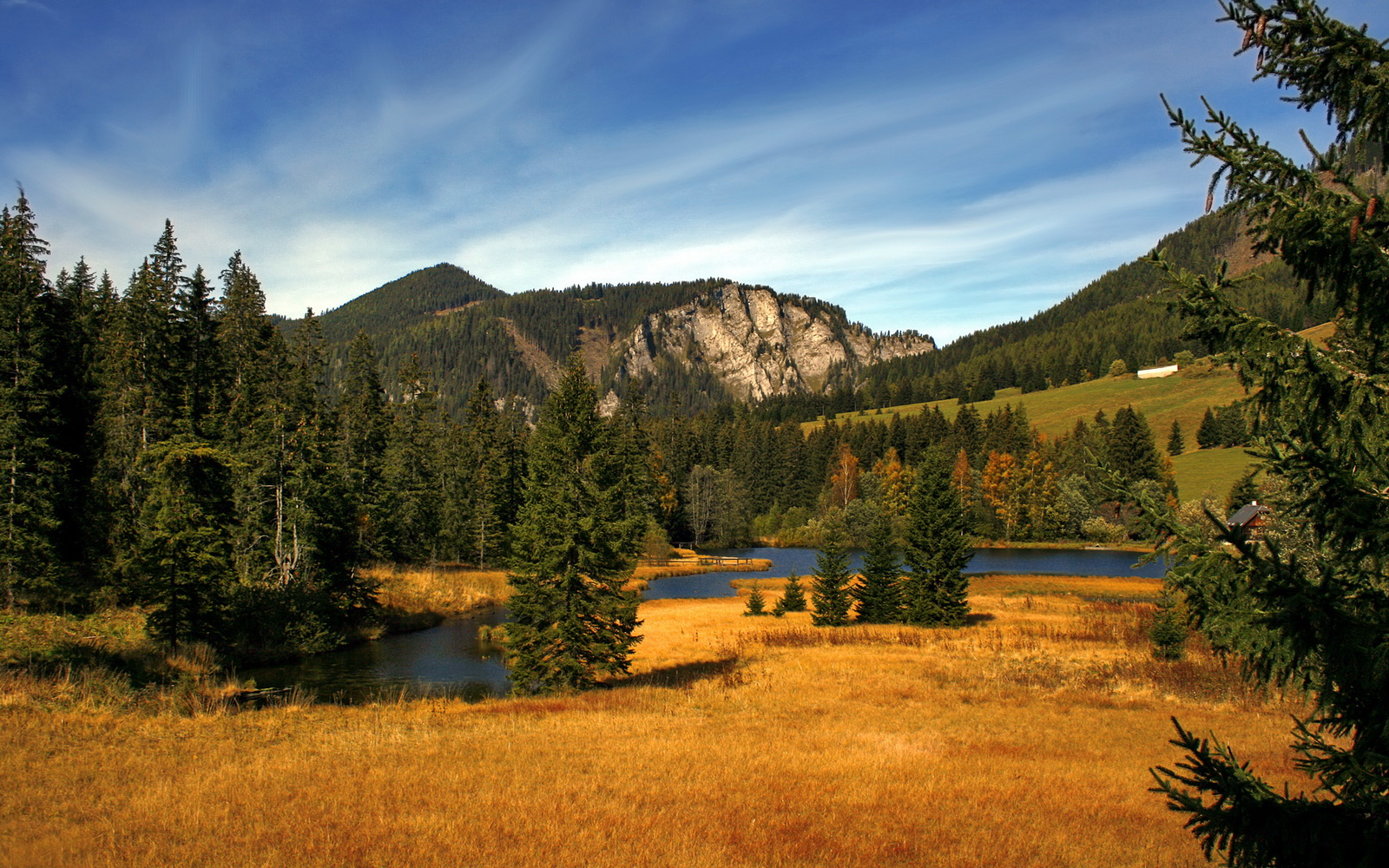 可选择的文章标题