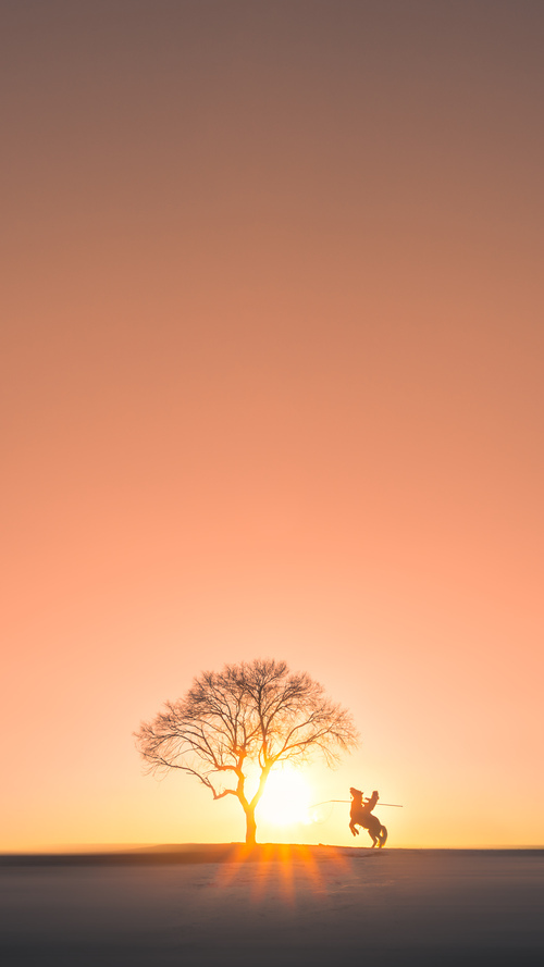 蓝色海岸上的红牌，当尼斯被尼日利亚裔移民强行终结