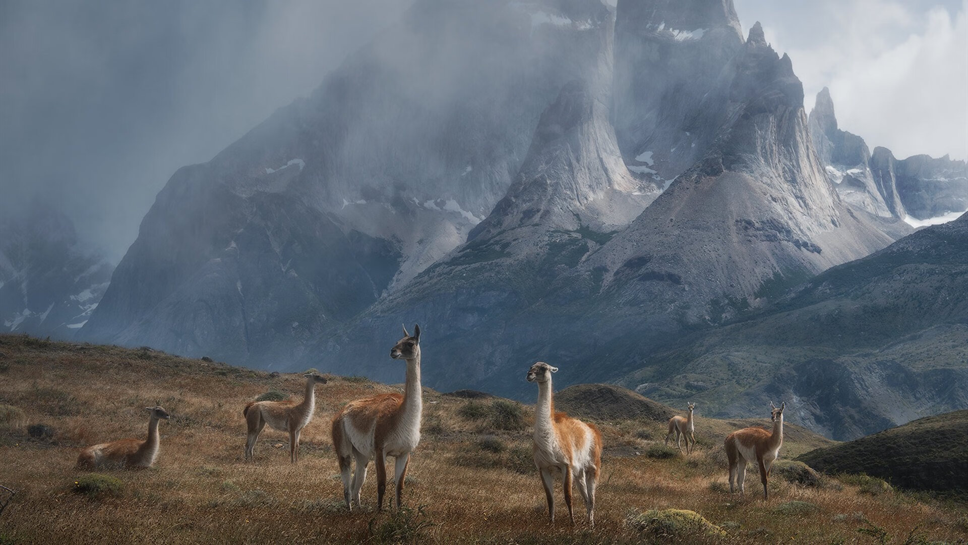 马刺的团队胜利与哈利伯顿的德甲传奇，篮球世界的双重奏