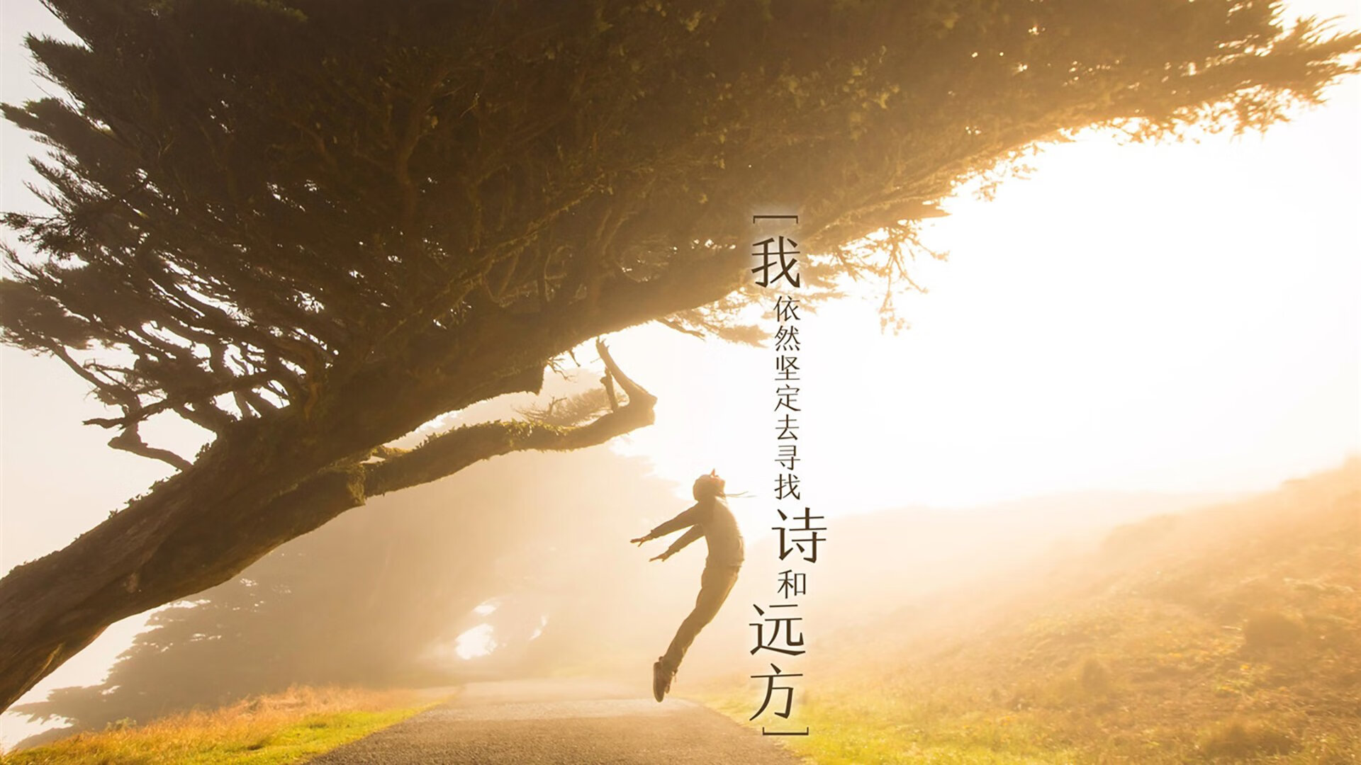 当宿敌撞上孤星，热火谋杀三巨头，西亚卡姆用一场非典型封神改写联盟剧本
