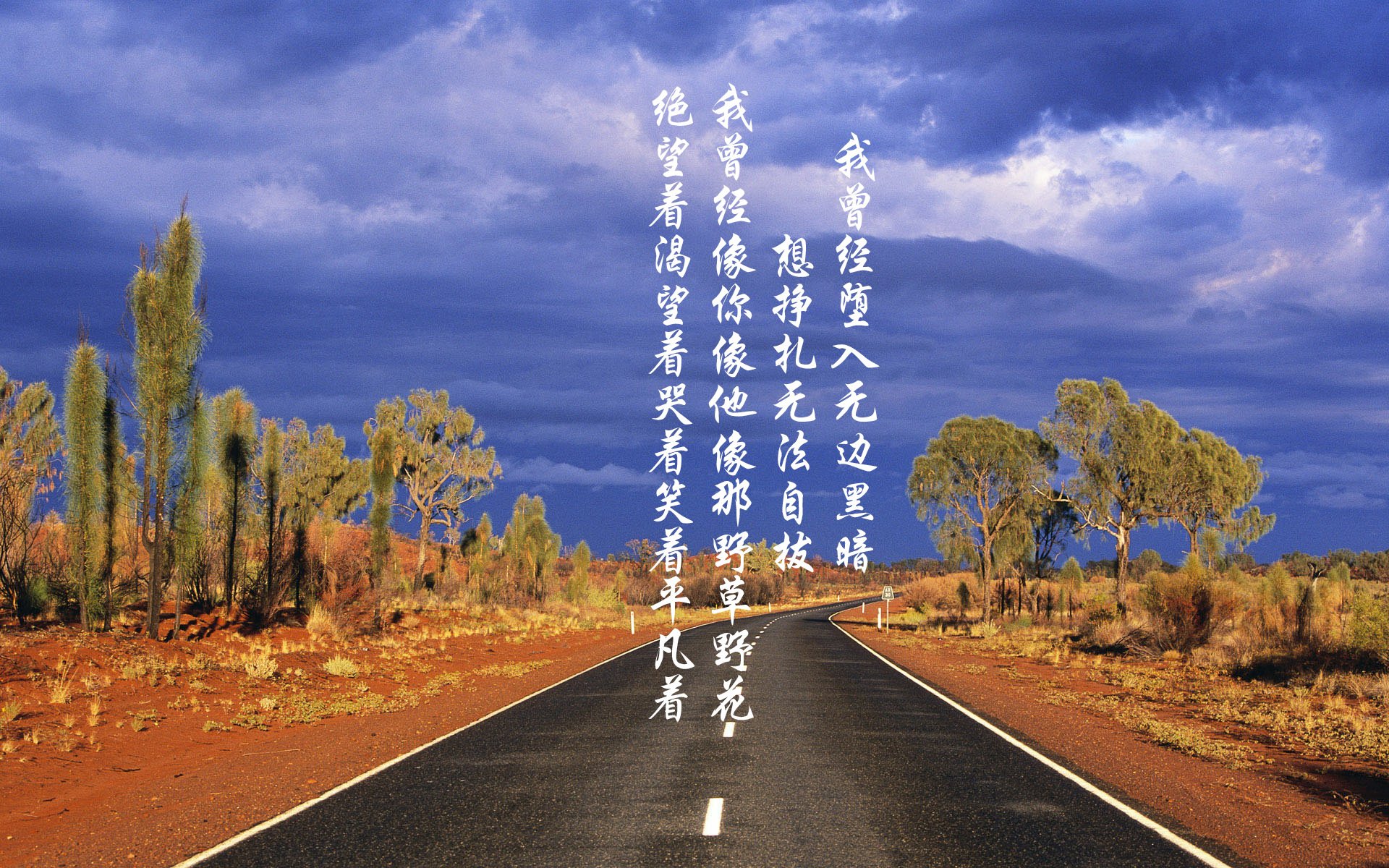 蓝白与新月之夜，2026世界杯F组关键战，乌拉圭力克伊拉克，穆西亚拉带队取胜的孤勇与智慧