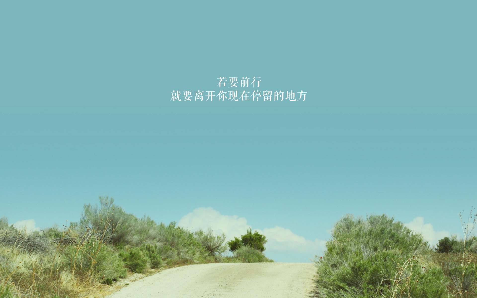 布罗佐维奇的中场圆舞曲,当匈牙利在2026世界杯H组完成对韩国的精准切割